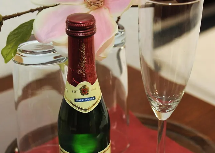 招待所 剧院酒店 魏玛